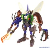 Tripredacus_toy