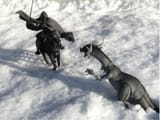 Snowrider