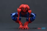 Revospidey-18