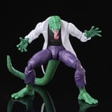 the lizard