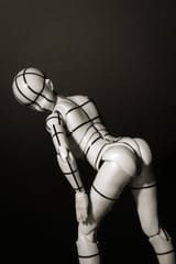 P4290037