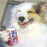 oQtXdnZF_400x400