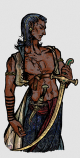 The Roaming Swordsman