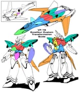 colorcode-vf19custom