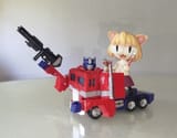 Neconvoy