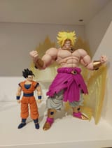 BDbroly