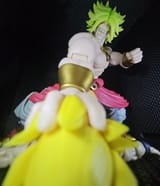 bought BD goku as an accessory for broly