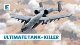 warthog