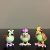birds