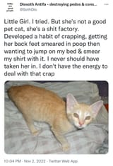 Animal Abuse 2