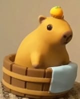 Thread 11484634 OP Image