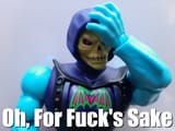 skeletor_fuck_sake