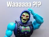 skeletor_wat