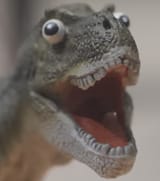 rex