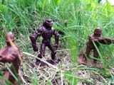 20250705_152158adj