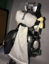 Thread 11485962 OP Image