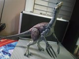 IMG_20250607_013138729