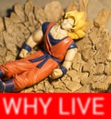 why live 1433340025427