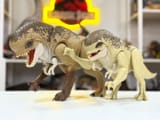 d rex comparison