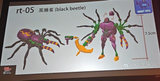 tarantulas 
