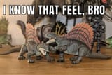 I know that feel Dino Bro