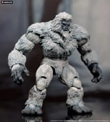 Loosecollector Yeti 2