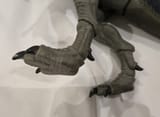 Toes