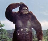 king-kong-i-dunno