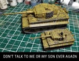 tigers