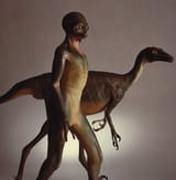 humanoid dino