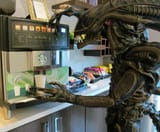 alien getting drink