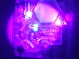 UV.tits