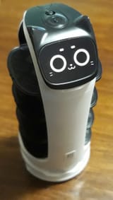5310 - Copy