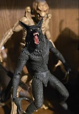 IMG_0201