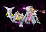 digivolvingspirits_angewomon1_november23_2017