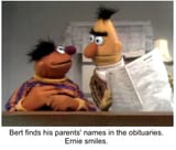 41d