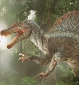 jp3 spino