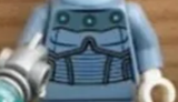 torso