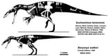Suchomimus_and_Baryonyx