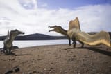 spino