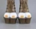 boobfeet