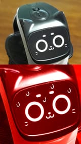 531023