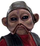 NienNunbHeadshot-SWBC62-alpha