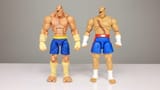sagat