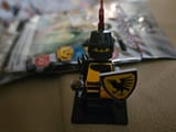 Crow Knight