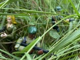 IMG_10551