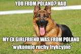 you from poland my ex was from poland woof woof