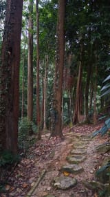 IMG_20250513_174059855