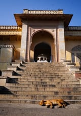 IMG_8091