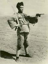 wauser_dadao_northern_warlord_army